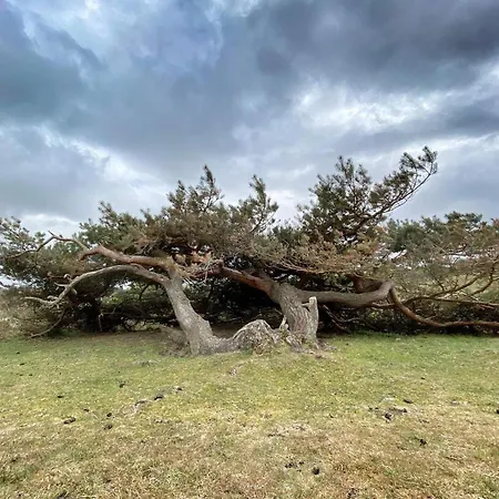 6 Person Prázdninový dům Tisvildeleje