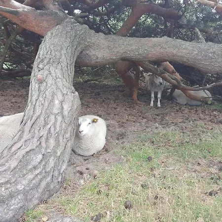 6 Person Prázdninový dům