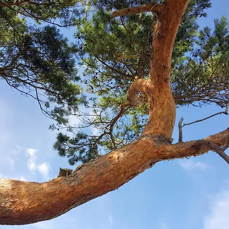 6 Person Prázdninový dům