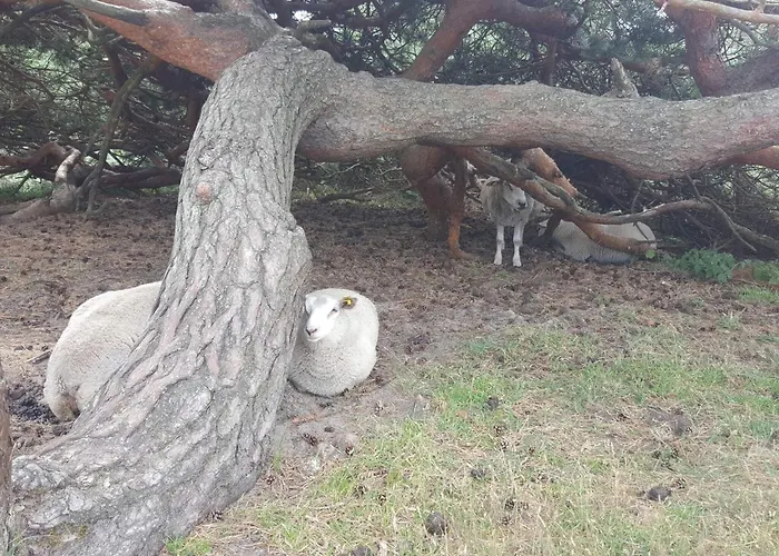 6 Person Сasa de vacaciones